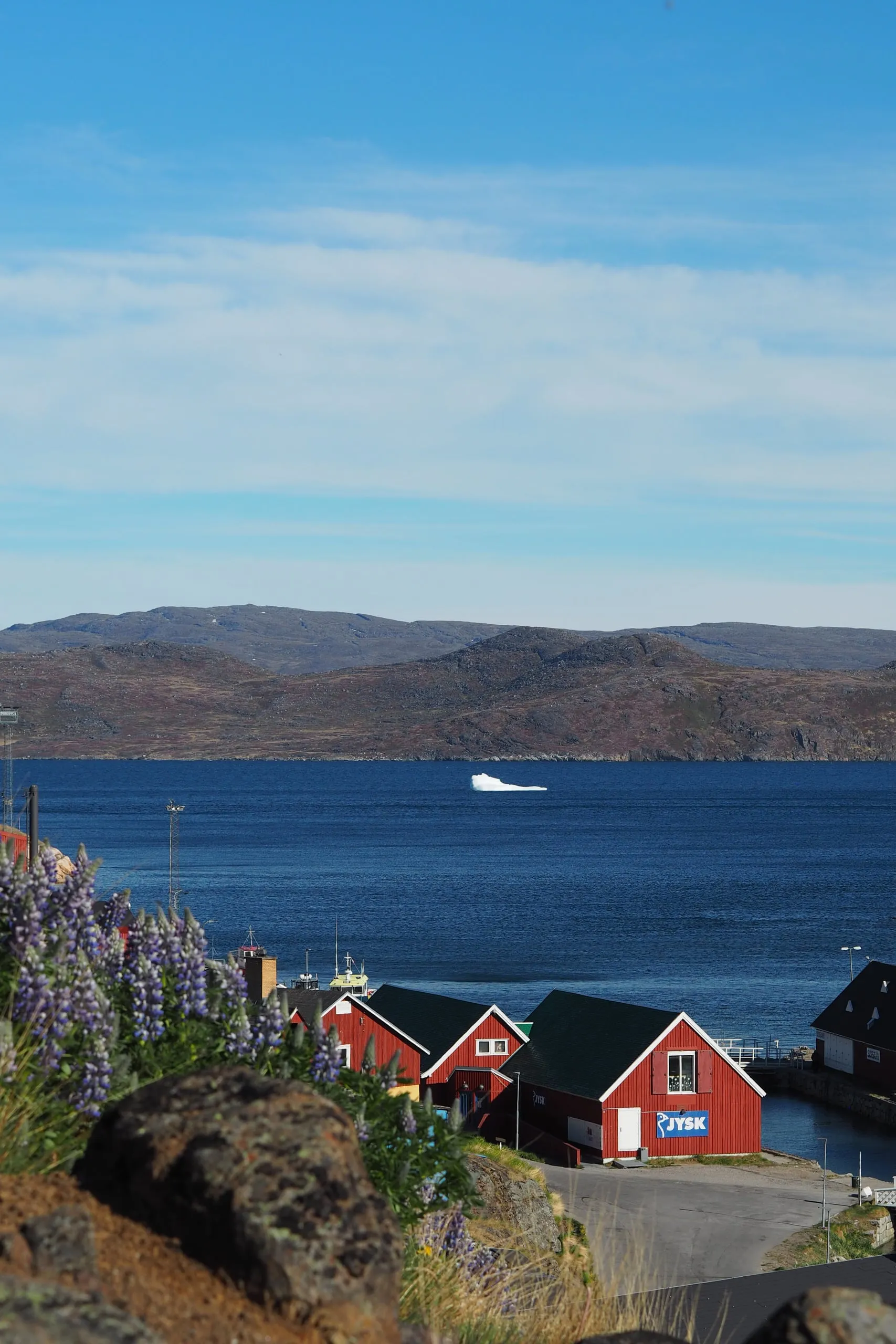 Purple lupins and red harbour sheds above the blue fjord, with a small iceberg and hills beyond.